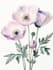 create watercolour botanical illustrations