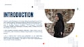 design a professional job ready portfolio