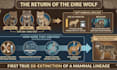 design professional infographic designs