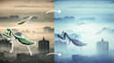 do image editing and photo manipulation