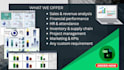 create a professional excel dashboard for sales and finance