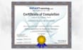 do expert and accurate medical coding USA cpt and icd 10