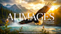 create quick professional ai art using sora,midjourney,nano banana and photoshop