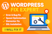fix wordpress errors bugs elementor woocommerce issues ssl setup  speed optimiza