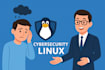 do cybersecurity tasks, kali linux projects, ubuntu server setup and flask labs