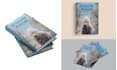 design book cover design and identity layout paperback