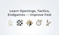 be your professional chess coach and improve your game