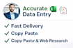 do accurate data entry, copy paste, pdf to excel