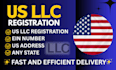 register US llc, file llc formation, prepare ein, boi report within 24 hours