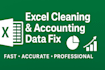 clean, format and analyze excel accounting and bookkeeping data