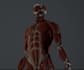 3d realistic human character, low poly, high poly model, rigged human design