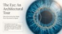 design premium medical and scientific presentation slides