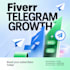 do crypto telegram promotion, telegram subscriber, grow telegram members target