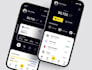 develop advanced financial accounting app, crownfunding app, insurance app