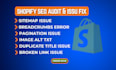 do shopify technical seo error fix 404 error 301 redirect semrush errors