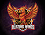 make outstanding phoenix mascot logo with express delivery with t shirt design