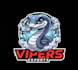 do a unique snake mascot logo t shirt design