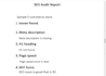 provide website SEO audit
