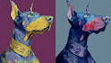 make animal illustration into pop art