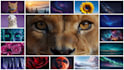 create all your ai art using leonardo and midjourney