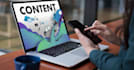 be your SEO content writer for your website