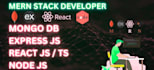 develop professional saas web applications