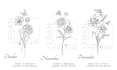 draw delicate fineline birth flowers