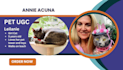 create pet ugc video ads for tiktok, instagram or facebook