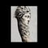design professional tattoo and custom tattoo