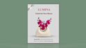 design luxury handbag instagram ads and social media posts