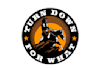 design professional horse logo