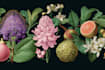 illustrate elegant botanical illustration