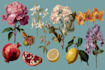 paint digital botanical fruit plants illustration