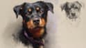draw disney pet portrait
