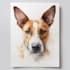 draw watercolor pet portrait