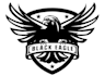 design unique eagle logo