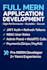 develop a professional mern stack web application with react and nodejs