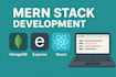 build custom saas, CRM or mern stack web application