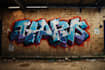 design graffiti designs, murals and wall arts