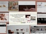 customize shopify themes and optimize shopify plus store
