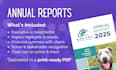 design a clean and modern annual report