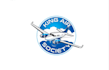 do a modern airplane logo in 24 hours