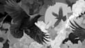 draw a black and white illustration for your project