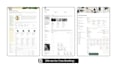 create a professional notion client portal