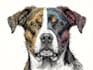 draw pop art dog cat pet potrait