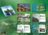 design your company profile