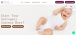 design a professional wordpress website with elementor pro