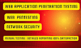 perform penetration testing on your web application