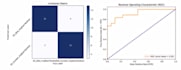 build accurate image classification models using python and ml