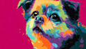 draw pop art dog cat pet potrait